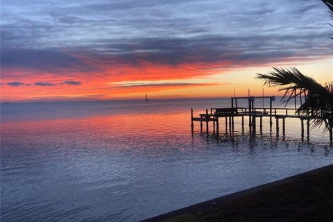 Land in Saint Petersburg, Florida № 1765635 - photo 1
