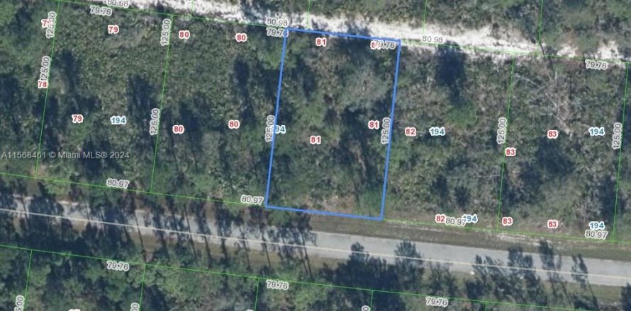 Land in Sebring, Florida № 2037125