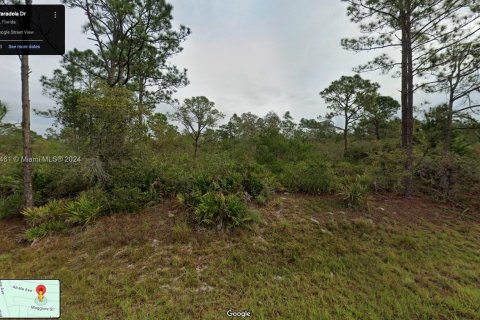 Land in Sebring, Florida № 2037125 - photo 3