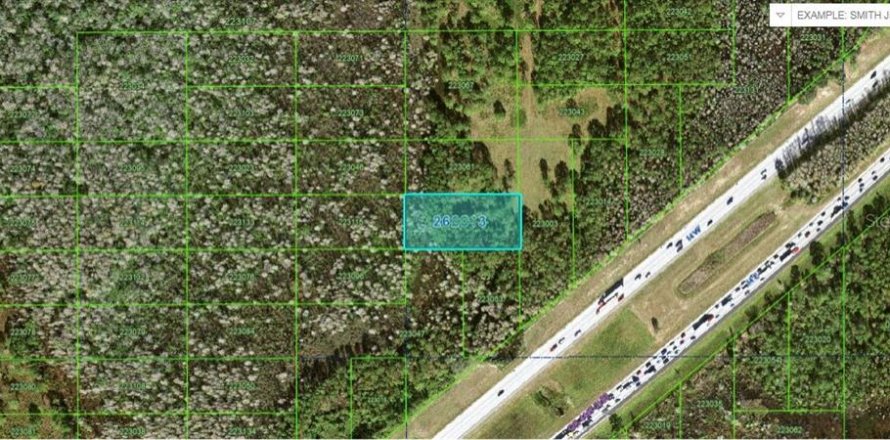 Terrain à Polk City, Floride № 2160739