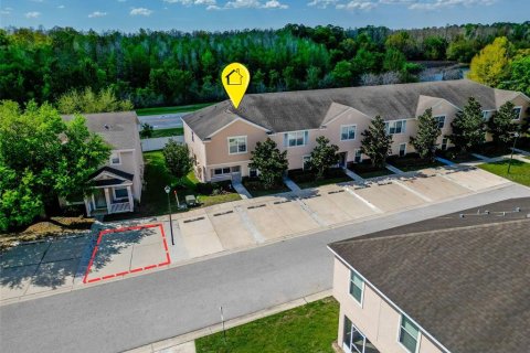 Touwnhouse à Wesley Chapel, Floride 3 chambres, 153.29 m2 № 2229989