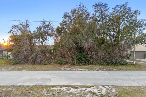 Land in Deltona, Florida № 1639659 - photo 1