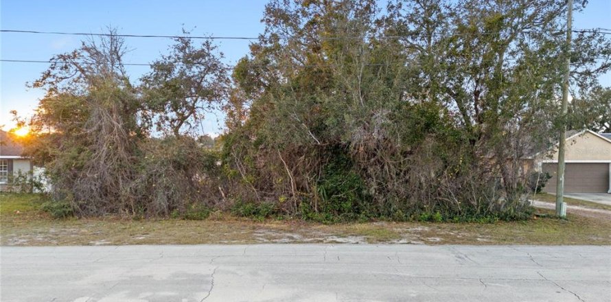 Land in Deltona, Florida № 1639659