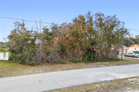 Land in Deltona, Florida № 1639659 - photo 3