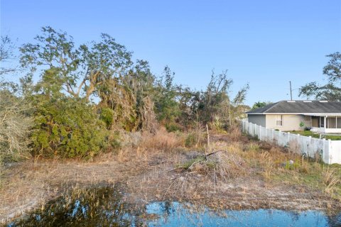 Land in Deltona, Florida № 1639659 - photo 4