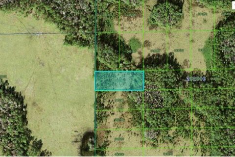 Terreno en Polk City, Florida № 2202870