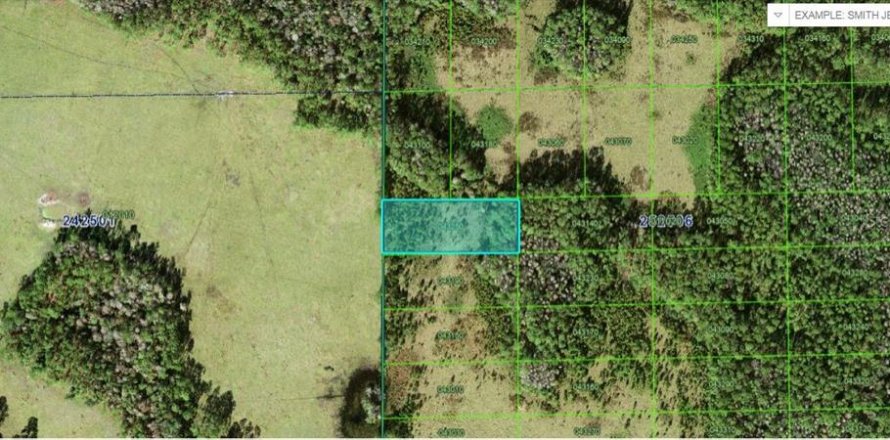 Terreno en Polk City, Florida № 2202870