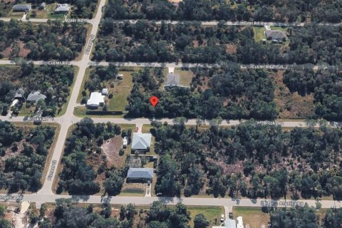 Land in Punta Gorda, Florida № 2238814 - photo 19