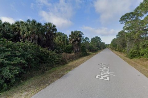 Land in Punta Gorda, Florida № 2238814 - photo 7
