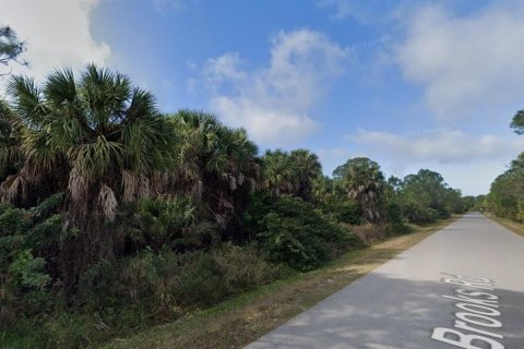 Land in Punta Gorda, Florida № 2238814 - photo 10