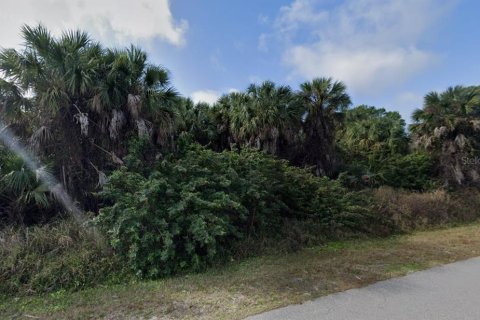 Land in Punta Gorda, Florida № 2238814 - photo 5