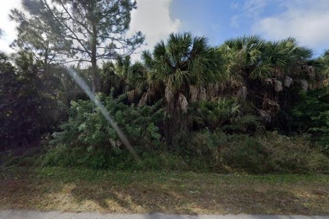 Land in Punta Gorda, Florida № 2238814 - photo 6