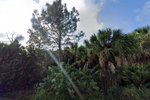 Land in Punta Gorda, Florida № 2238814 - photo 3