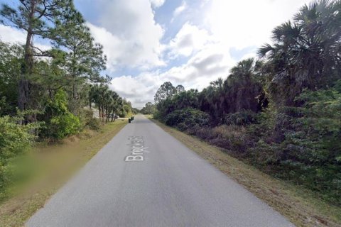 Land in Punta Gorda, Florida № 2238814 - photo 8