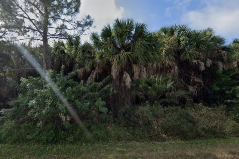 Land in Punta Gorda, Florida № 2238814 - photo 4