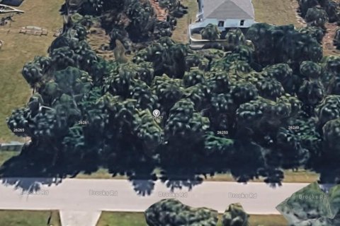 Land in Punta Gorda, Florida № 2238814 - photo 11