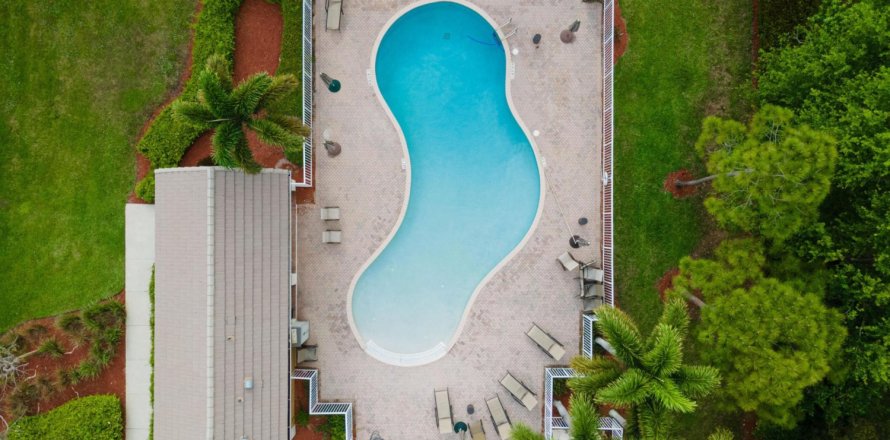 House in Lake Worth, Florida 6 bedrooms, 378.86 sq.m. № 1075606