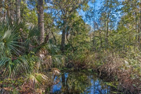 House in Astatula, Florida 2 bedrooms, 125.42 sq.m. № 889014 - photo 30