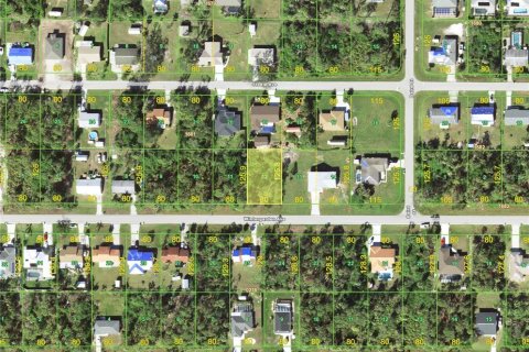 Land in Port Charlotte, Florida № 2158948 - photo 2