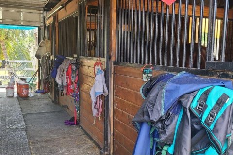 House in Lake Worth, Florida 3 bedrooms, 207.36 sq.m. № 2030642 - photo 8