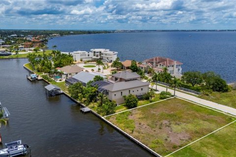 Land in Port Charlotte, Florida № 2211092