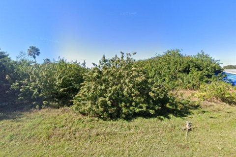 Land in Port Charlotte, Florida № 2164920 - photo 3