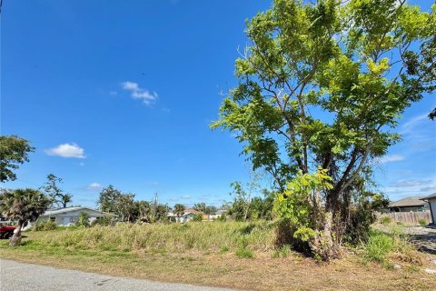 Land in Venice, Florida № 1553614 - photo 3