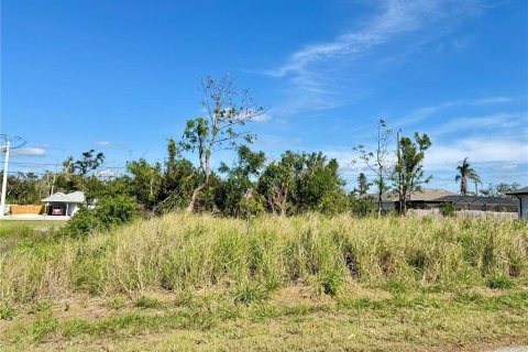 Land in Venice, Florida № 1553614 - photo 5
