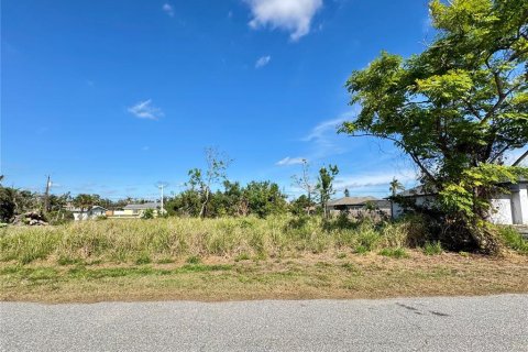 Land in Venice, Florida № 1553614 - photo 1