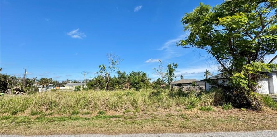Land in Venice, Florida № 1553614