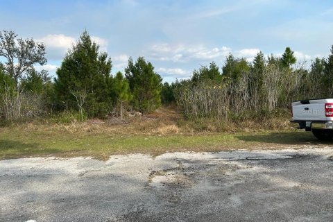 Land in Lehigh Acres, Florida № 2158818 - photo 3