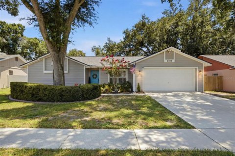 House in Valrico, Florida 3 bedrooms, 178.65 sq.m. № 2210861