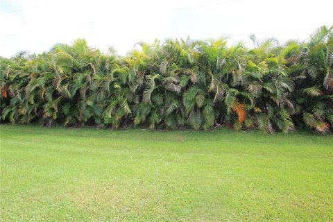 Land in Okeechobee, Florida № 1325032 - photo 8