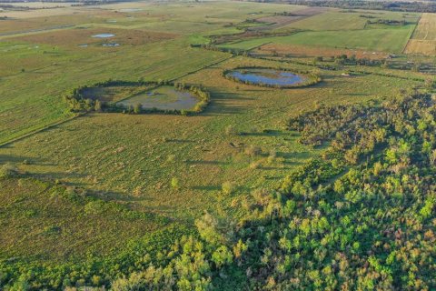 Land in Myakka City, Florida № 2197405