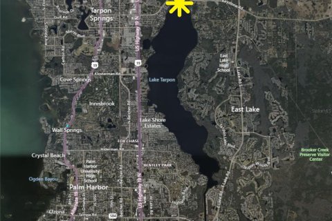 Land in Tarpon Springs, Florida № 1844782 - photo 3