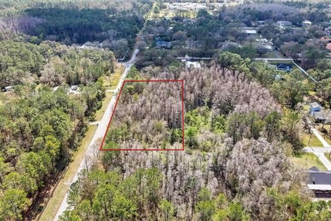 Land in Wesley Chapel, Florida № 1580535 - photo 1