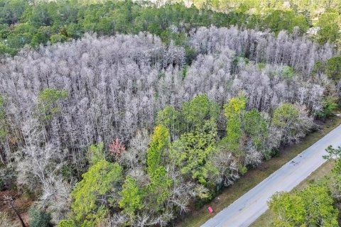 Land in Wesley Chapel, Florida № 1580535 - photo 5