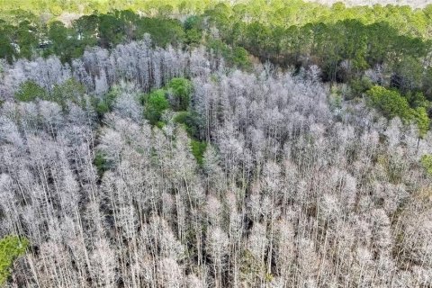 Land in Wesley Chapel, Florida № 1580535 - photo 7