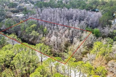 Land in Wesley Chapel, Florida № 1580535 - photo 3