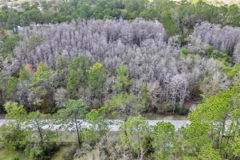 Land in Wesley Chapel, Florida № 1580535 - photo 4