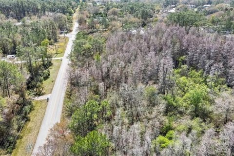 Land in Wesley Chapel, Florida № 1580535 - photo 2