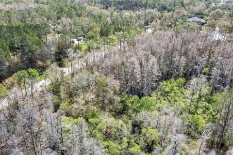 Land in Wesley Chapel, Florida № 1580535 - photo 9