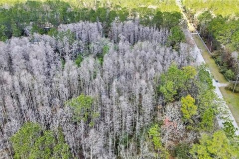 Land in Wesley Chapel, Florida № 1580535 - photo 6