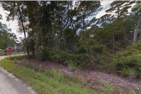 Terreno en DeLand, Florida № 2164116