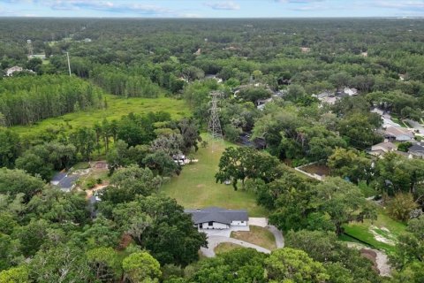 Casa en venta en Lutz, Florida, 3 dormitorios, 220.74 m2 № 2208354 - foto 5
