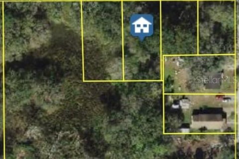 Land in Tampa, Florida № 1518539 - photo 1