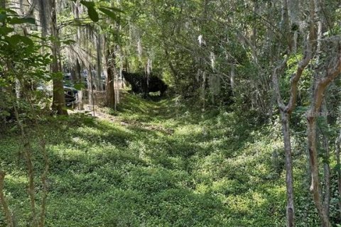 Propiedad comercial en alquiler en Gainesville, Florida, 142.14 m2 № 1677361 - foto 4