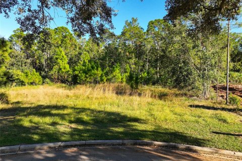 Terreno en venta en Saint Cloud, Florida № 1554208 - foto 2