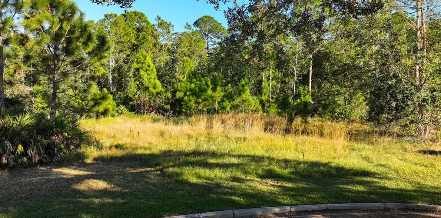 Terreno en Saint Cloud, Florida № 1554208