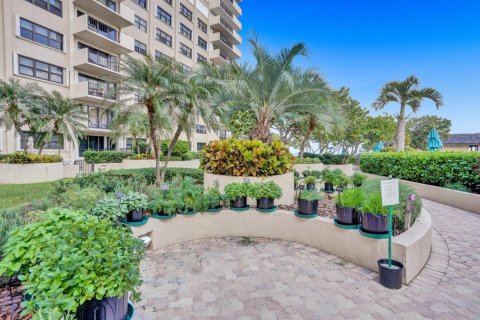 Condo in Lauderdale-by-the-Sea, Florida, 2 bedrooms  № 2370083 - photo 24
